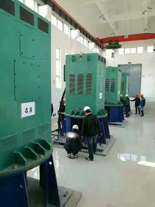 YKK6301-2GJ某污水处理厂使用我厂的立式高压电机安装现场