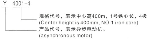 西安泰富西玛Y系列(H355-1000)高压YKK6301-2GJ三相异步电机型号说明