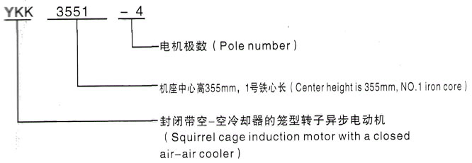 YKK系列(H355-1000)高压YKK6301-2GJ三相异步电机西安泰富西玛电机型号说明